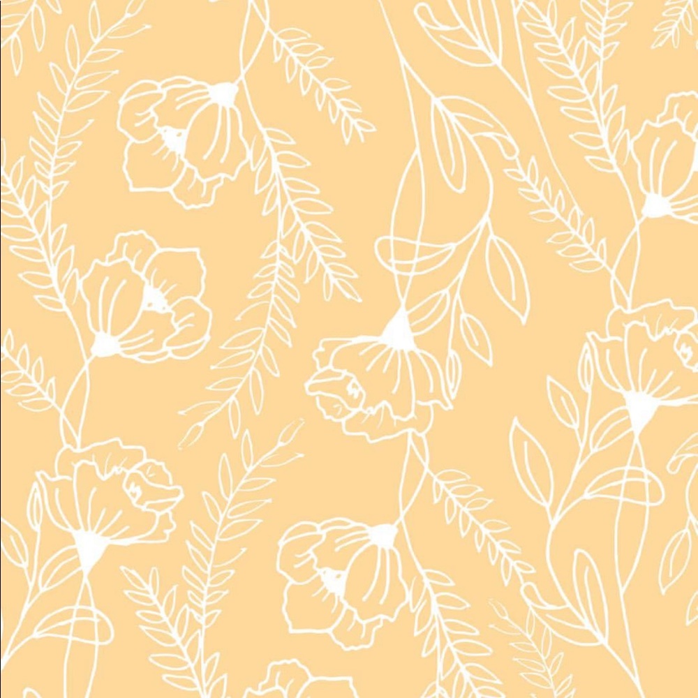 Meet your Posher, Lola B.